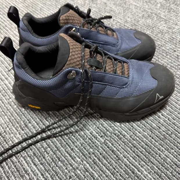 로아 카타리나 43 