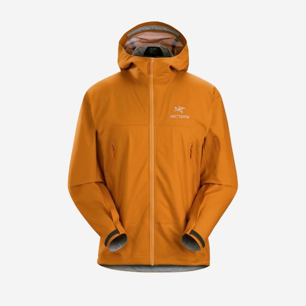 아크테릭스 베타