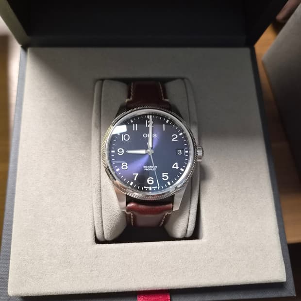 오리스 빅크라운 프로파일럿