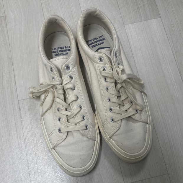 캐치볼 스니커즈