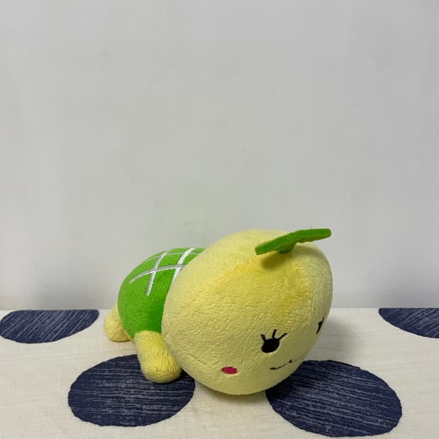 메론 거북이 인형