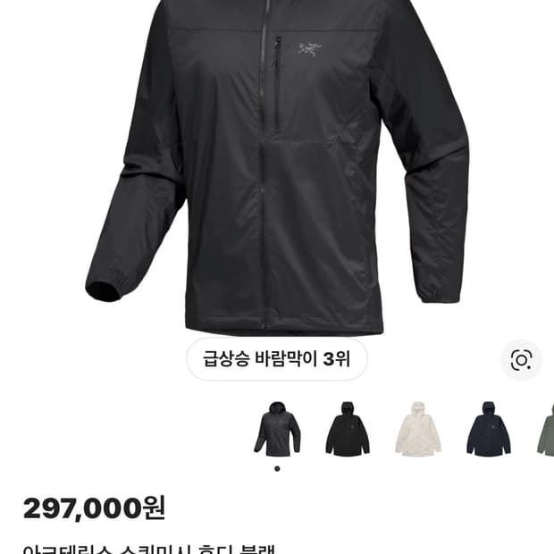 아크테릭스 스쿼미시후디 xs