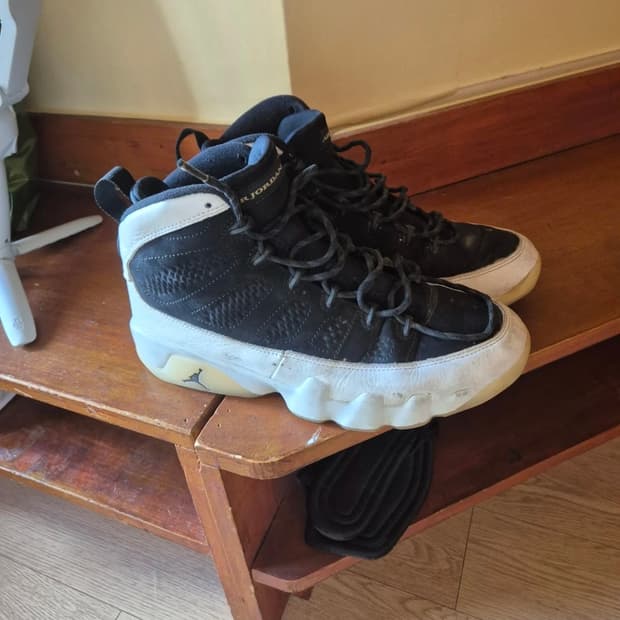 조던9 플라이트 270