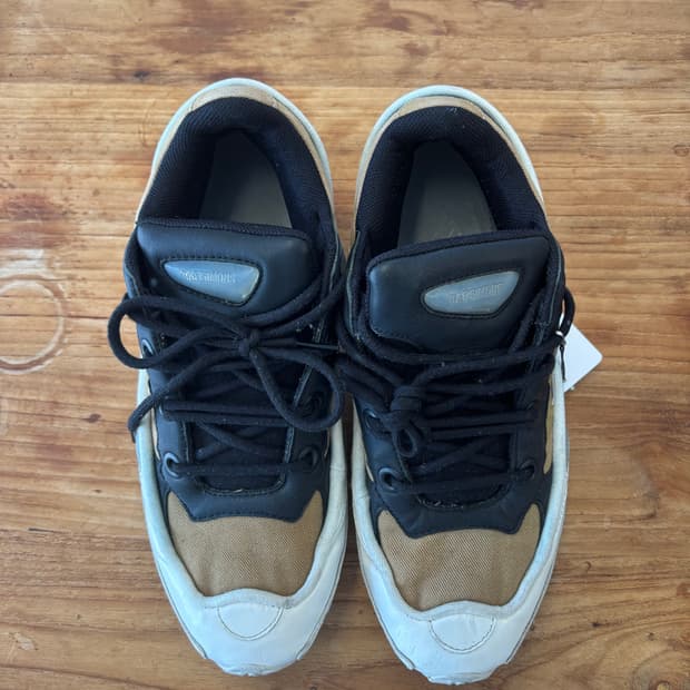 Adidas x rafsimons ozweego