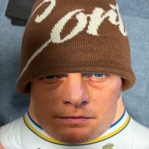 코르테이즈 브라운 비니