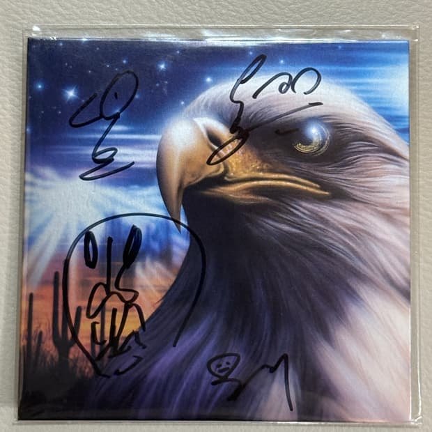 실리카겔 desert eagle cd