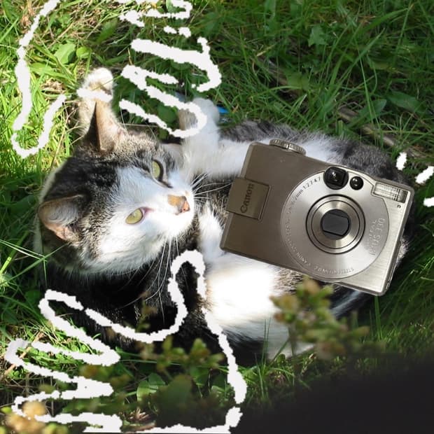 작례_캐논 Canon ixus 330