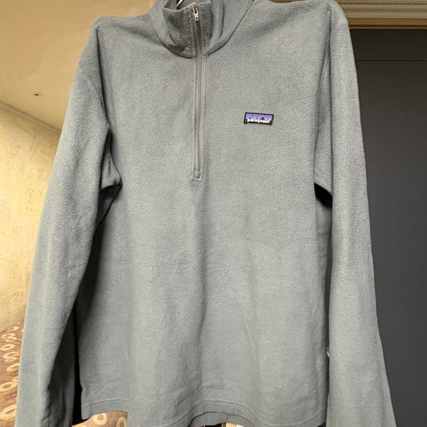 파타고니아 마이크로디니