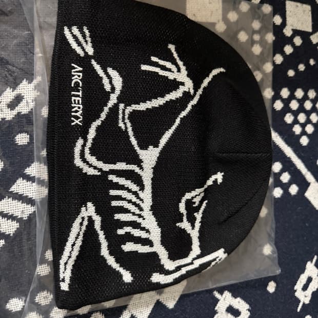 아크테릭스 버드 헤드 토크 비니