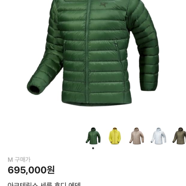 아크테릭스세륨후디에덴그린패딩(m)25.9구매