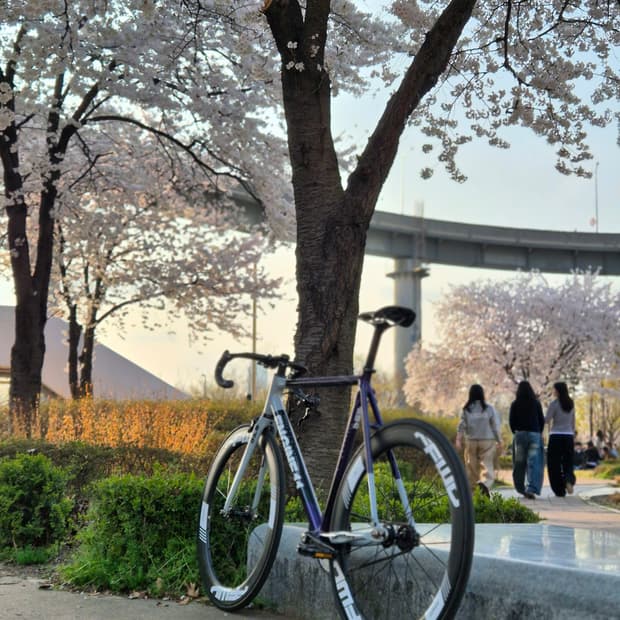 엔진11 크릿디 에그플랜트