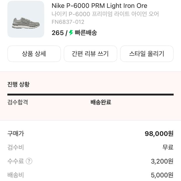 나이키 P 6000 라이트 아이언