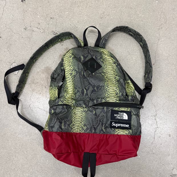 Supreme x The North Face Snakeskin bag