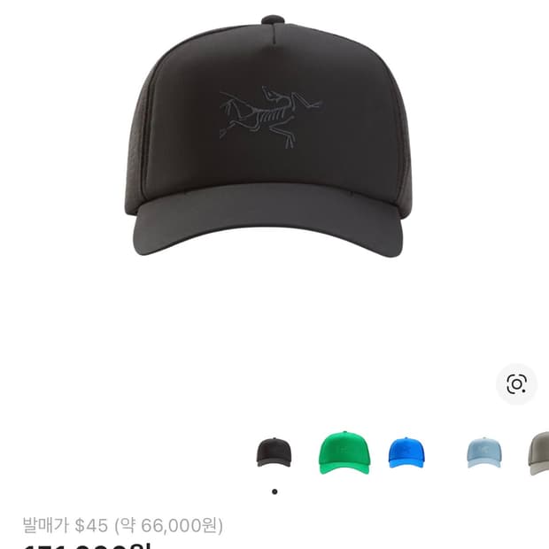 아크테릭스 버드 워드 트러커 햇