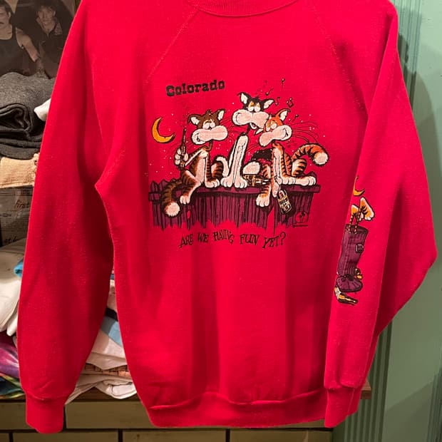 1980-90s Vintage Graphic Sweatshirt USA