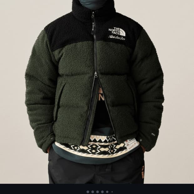 ALD 노스페이스 눕시 자켓