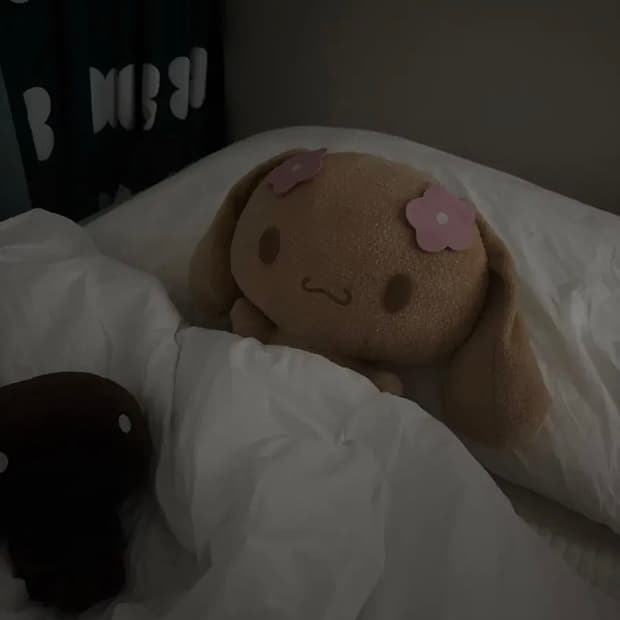 산리오 고전 시나모롤 모카 06년도 중형 인형