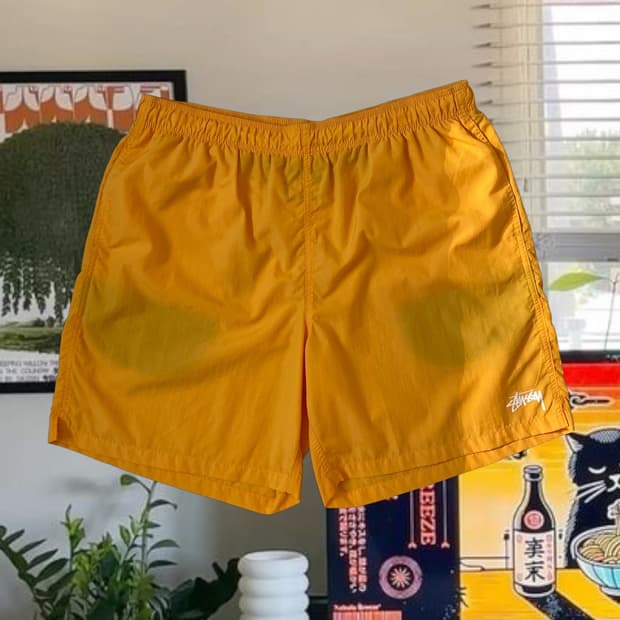  스투시 쇼츠 (32) AB1331