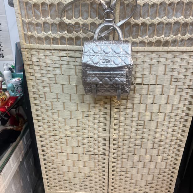 정품 디올 스타더스트 실버 백팩 팝니다