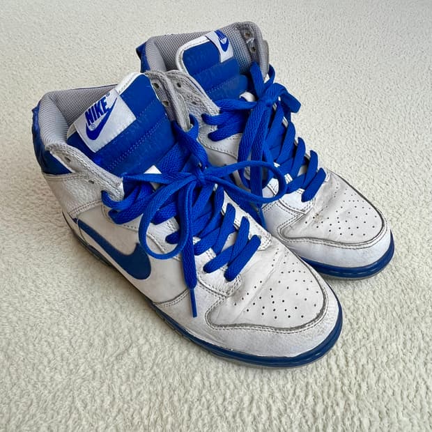 나이키 덩크 하이 (240)