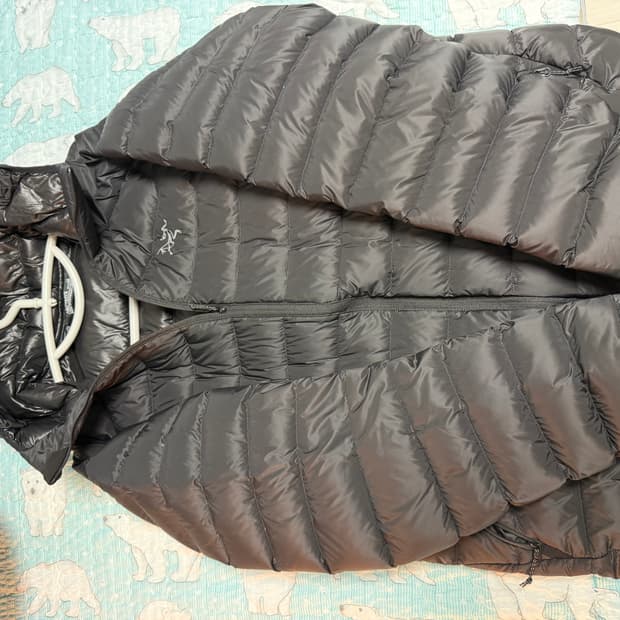 아크테릭스 세륨 lt 남성 L