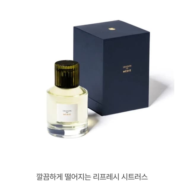 트루동 메디