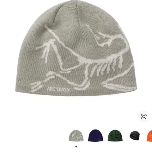 아크테릭스 비니