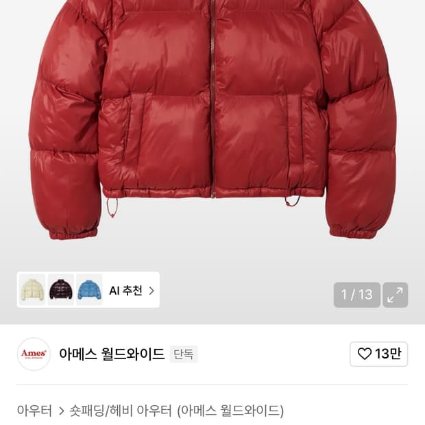 아메스 월드와이드 크롭 패딩 레드