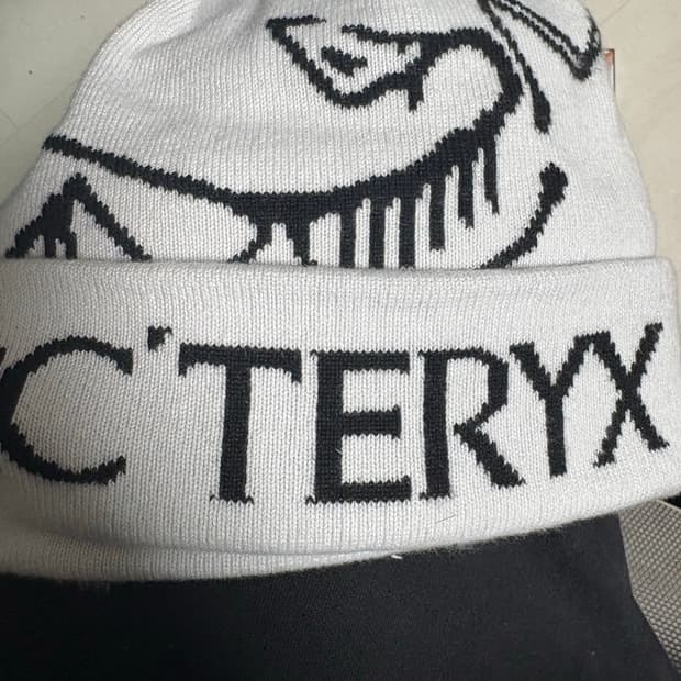 아크테릭스 비니