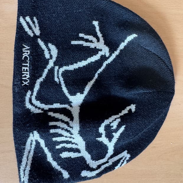 아크테릭스 비니