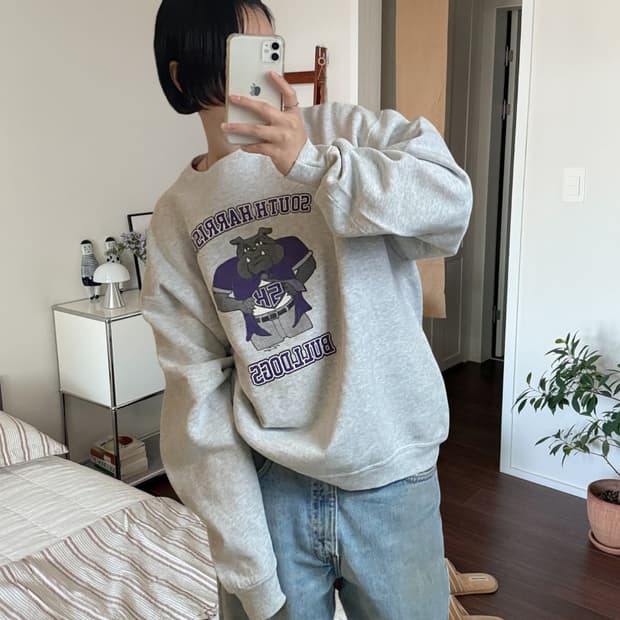 프룻 오브 더 룸 스웻셔츠 (Man XL) AB0780