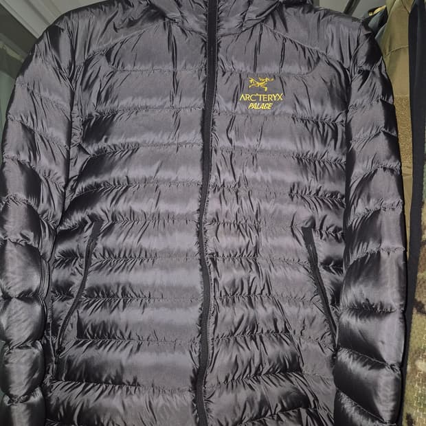 M) 아크테릭스 팔라스 세륨 lt 후디