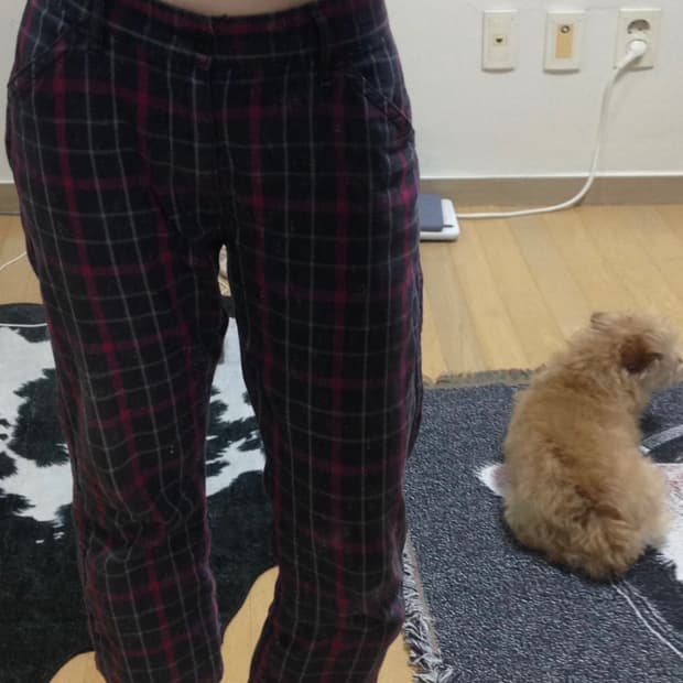 빔즈 beams 타탄 체크 패턴 카프리 팬츠 레드