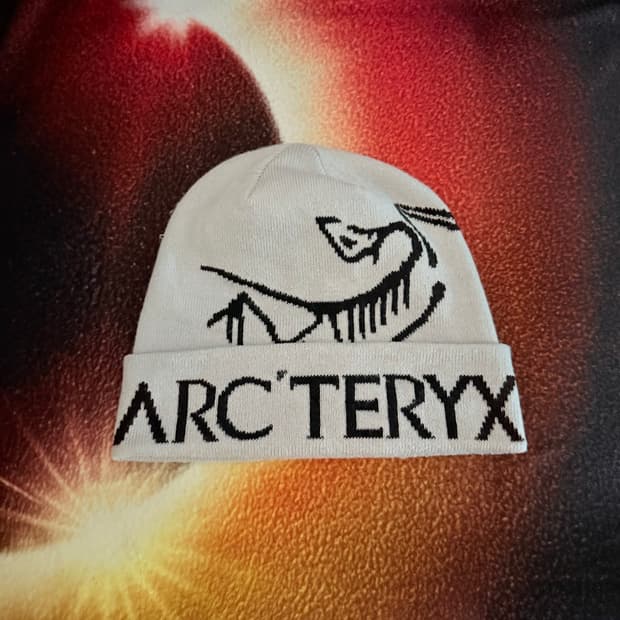 아크테릭스 버드 토크 비니