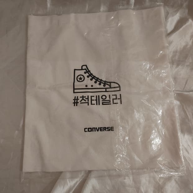 컨버스 척 에코백