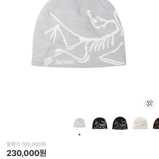 아크테릭스 비니 