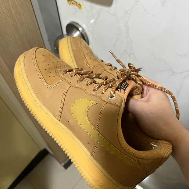 나이키 된장포스 250