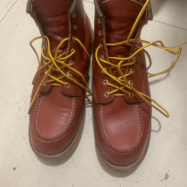 레드윙 8875 9e 아이리쉬세터