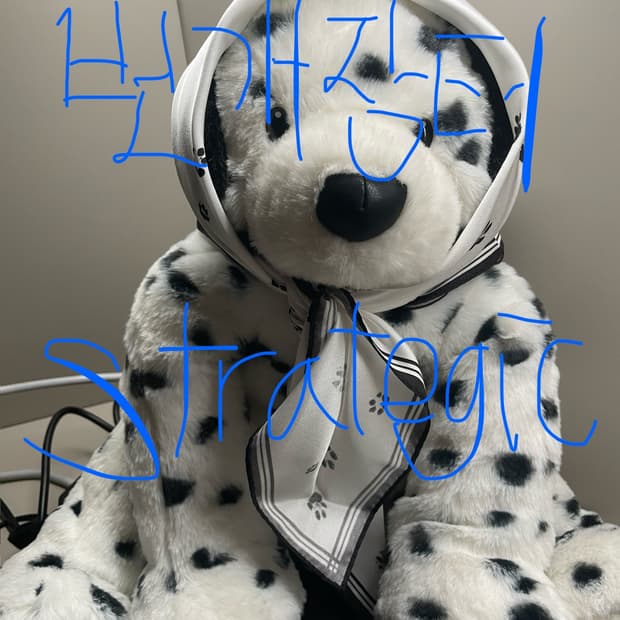 아더에러 상하이 스페이스 VIP 강아지