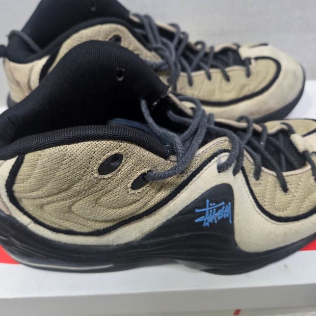 나이키 스투시 에어 페니 270