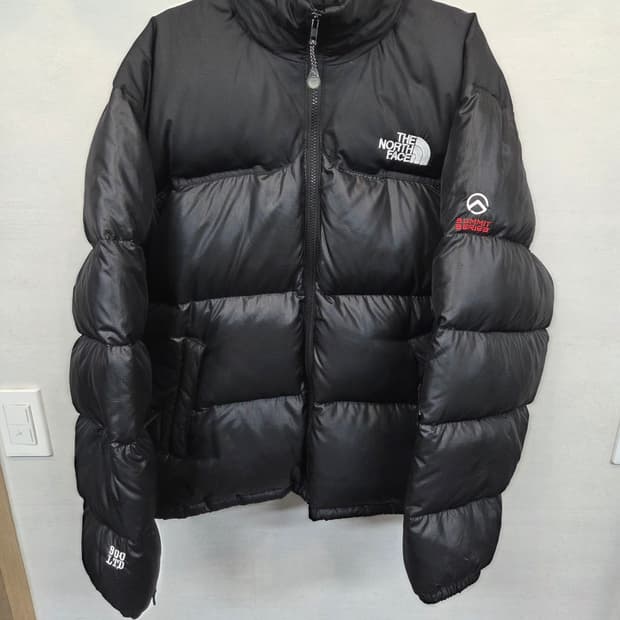 노스페이스 써밋시리즈 Ltd 900 패딩 xl