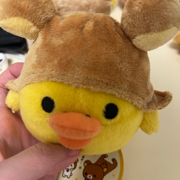 모자쓴 키이로이토리