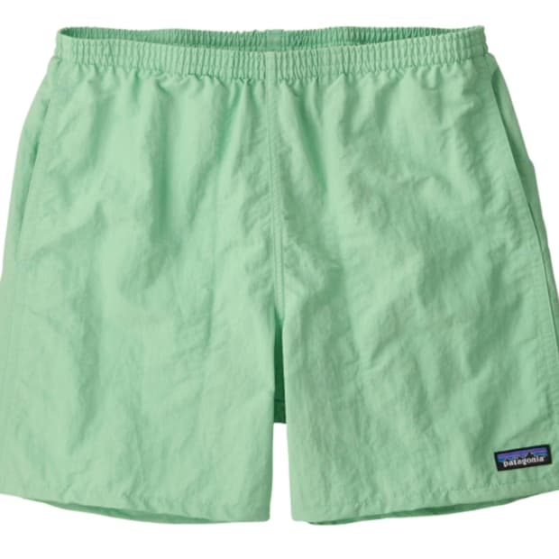 파타고니아 배기스 쇼츠 5인치 린스드 그린 팝니다.