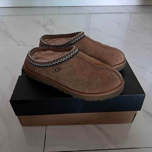 어그 타스만 (270)