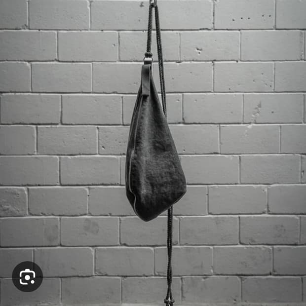 pcbx카본 다잉 바디백 구매합니다