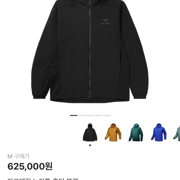 아크테릭스 아톰 후디 블랙