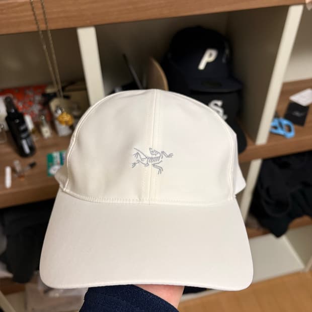 아크테릭스 스몰 버드 볼캡