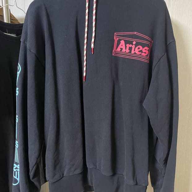 [S 100] Aries 후드티