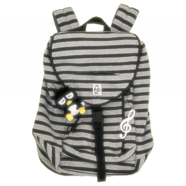 첨스 스트라이프 백팩 🐧