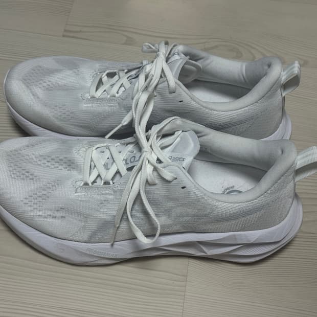 [270] 노바블라스트5 화이트 피드몬트 그레이